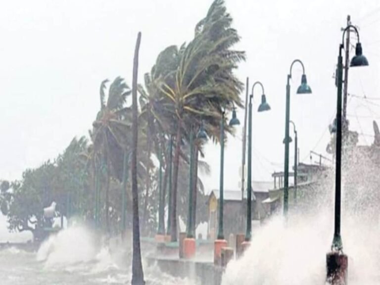 imd_weather_update_cyclone_alert_michang_29_november_weather_forecast_imd_rainfall_alert_delhi_up_bi_1701249227